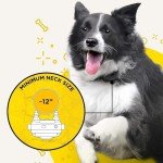 Dogtra IQ Remote Dog Trainer for Hunting