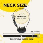 Dogtra IQ Remote Dog Trainer for Hunting