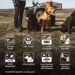 Dogtra 1902S Handsfree Remote Trainer for Dogs