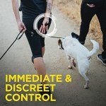 Dogtra 1902S Handsfree Remote Trainer for Dogs