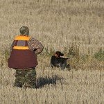 AUSCAMOTEK Adjustable Upland Bird Hunting Vest XL/XXL
