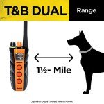Dogtra T&B 2-Dog Remote Training Collar