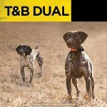 Dogtra T&B 2-Dog Remote Training Collar