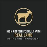 Purina Pro Plan SPORT Lamb & Rice Dog Food