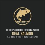 Purina Pro Plan High Protein Salmon & Rice Dog Food
