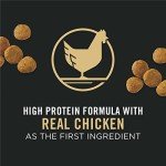 Purina Pro Plan Puppy Chicken & Rice Dog Food