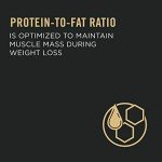 Purina Pro Plan Weight Management Dog Food 6 lb