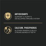 Purina Pro Plan High Protein Puppy Food, 34 lb