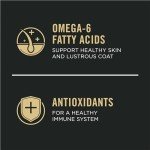 Salmon & Rice Dog Food for Small Breeds