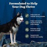 Blue Buffalo Wilderness High-Protein Dog Food, Duck