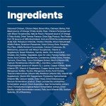 Blue Buffalo Life Protection Puppy Food, 15 lb