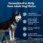 High-Protein Grain-Free Dog Food with Chicken