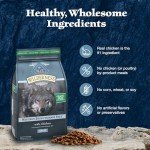 High-Protein Grain-Free Dog Food with Chicken