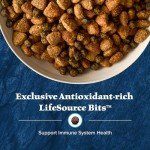 Blue Buffalo Wilderness Salmon High-Protein Dog Food