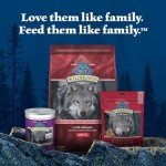 Blue Buffalo Wilderness Salmon High-Protein Dog Food