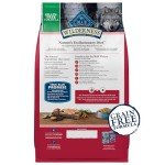 Blue Buffalo Wilderness Salmon High-Protein Dog Food