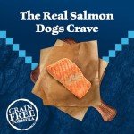 Blue Buffalo Wilderness Salmon High-Protein Dog Food