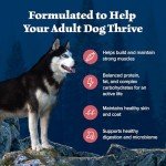 Blue Buffalo Wilderness Salmon High-Protein Dog Food