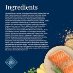 Blue Buffalo Basics Salmon Recipe Dog Food, 24 lb