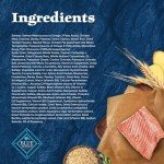 Blue Buffalo Wilderness High-Protein Dog Food, Salmon