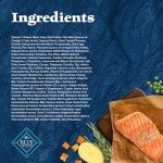 Blue Buffalo Wilderness Salmon High-Protein Dog Food