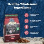 Blue Buffalo Wilderness Salmon High-Protein Dog Food