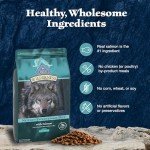 Blue Buffalo Wilderness High-Protein Dog Food, Salmon
