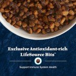 Blue Buffalo Wilderness High-Protein Dog Food, Salmon