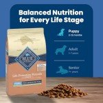 Blue Buffalo Large Breed Puppy Dog Food - Chicken & Rice