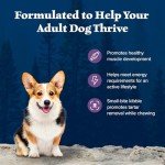 Blue Buffalo Wilderness High-Protein Dog Food, Chicken