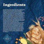 Blue Buffalo Wilderness High-Protein Dog Food, Chicken