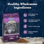 Blue Buffalo Wilderness High-Protein Dog Food, Chicken