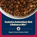 Blue Buffalo Freedom Grain-Free Dog Food, Beef & Potatoes