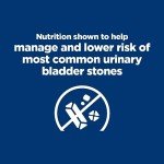 Hill's c/d Multicare Urinary Care Dog Food 8.5 lb