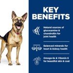 Hill's Science Diet Senior Dog Food - Chicken, 33 lb