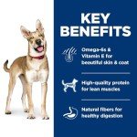 Hill's Science Diet Adult Lamb & Brown Rice 33 lb