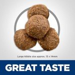 Hill's Science Diet Senior Dog Food - Chicken, 33 lb