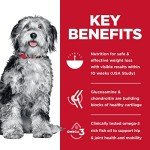 Hill's Science Diet Weight & Joint Support Dog Food