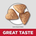 Hill's Science Diet Weight & Joint Support Dog Food