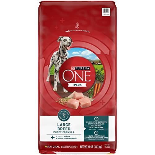 Puppy Food