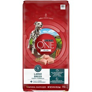 Purina ONE Large Breed Puppy Dry Food - 40 Lbs