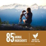 ORIJEN Grain-Free High-Protein Puppy Food 1.8kg