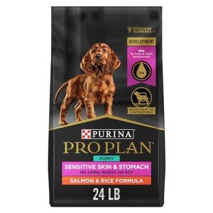 Purina Pro Plan Salmon & Rice Puppy Food 24 lb