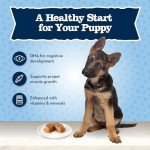 Blue Buffalo Baby Blue Wet Dog Food Cups