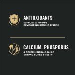 Purina Pro Plan Puppy Lamb & Rice Dog Food