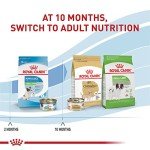 Royal Canin X-Small Puppy Dry Dog Food 3lbs