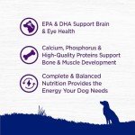 Wellness Complete Health Natural Dry Dog Food