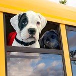 Fromm Puppy Gold Dry Food, 5 lb Bag