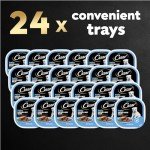 Cesar Wet Dog Food for Puppies - 6 Tray Pack