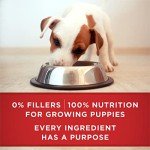 Purina One Classic Lamb & Rice Puppy Food 12-Pack